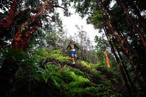 BIB: 
                            <button type="button" onclick="openModal(26205054)" class="btn btn-primary btn-sm float-right btn-popup" data-toggle="modal" data-target=".modal-high-quality">
                        <i class="fas fa-shopping-cart"></i> Add to Cart
                    </button>
                                            <button type="button" onclick="isThisMe(26205054, true)" class="btn btn-success btn-sm float-right btn-popup btn-isme hidden" data-toggle="tooltip" data-placement="bottom" title="นี่คือรูปของคุณใช่ไหม คลิกที่นี่เพื่อเอาเข้าอัลบั้ม">
                        <i class="fas fa-plus"></i> Add to album
                    </button>
                    <button type="button" onclick="isThisMe(26205054, false)" class="btn btn-warning btn-sm float-right btn-popup btn-isnotme hidden">
                        <i class="fas fa-ban"></i> Remove from album
                    </button>